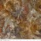 Fabric Riley Mocha Chestnut Places You'll Go Western Reflections Expressions Batiks by the Quarter Yard BT23502-146